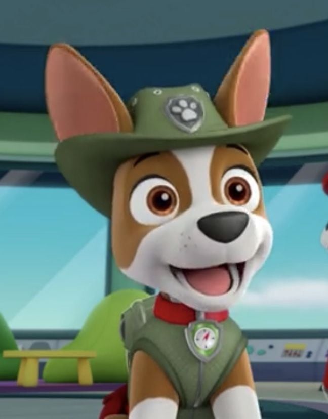 Estos son los fondos de pantalla de Tracker de Paw Patrol para smartphone