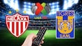 Necaxa vs Tigres: A qué hora y dónde ver el partido de la jornada 15 de la Liga MX