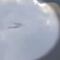 VIDEO: Dos aviones casi chocan en pleno vuelo y autoridades de Estados Unidos ya investigan