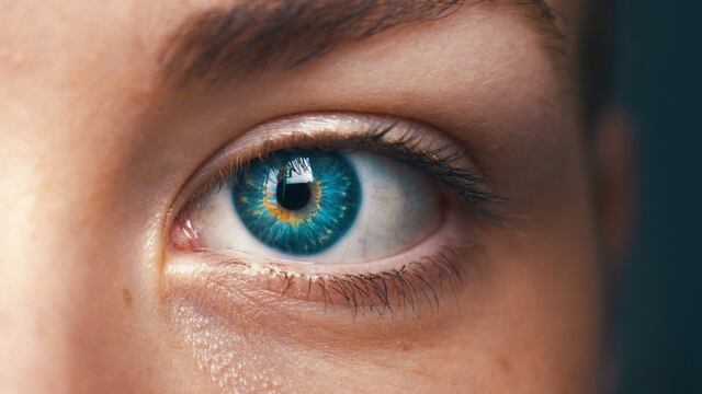 Ojo humano