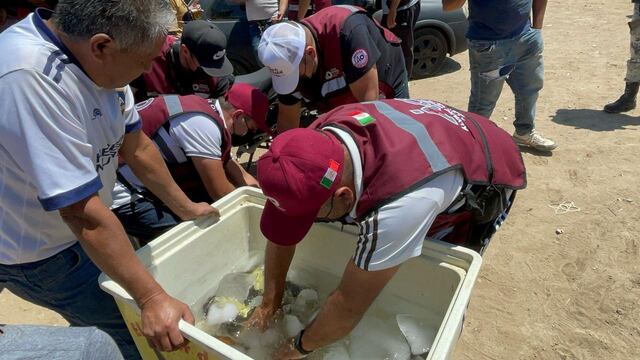Desmantelan chelerías en canchas de futbol de la alcaldía Álvaro Obregón