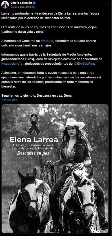 Elena Larrea