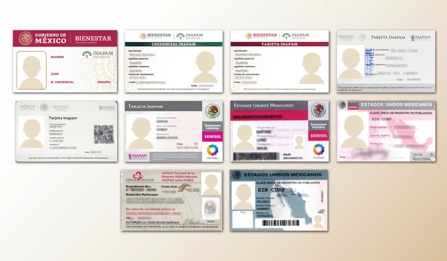 Tarjeta del INAPAM 2024