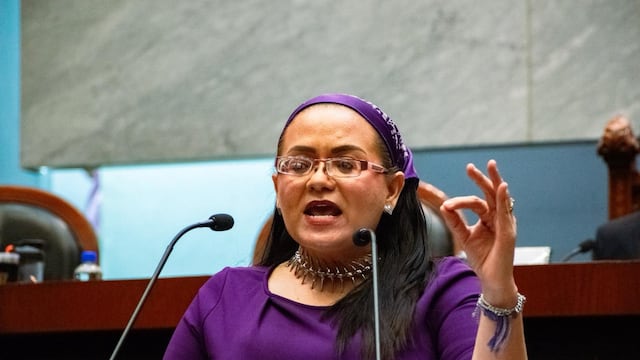 Ley Tereza plantea agilizar pasaportes de menores acompañados por sus madres