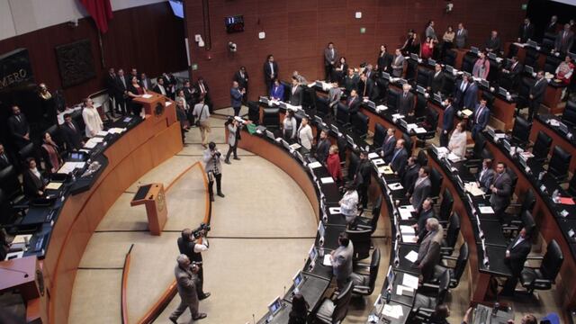 Exhorto en el senado por tema Air Emirates