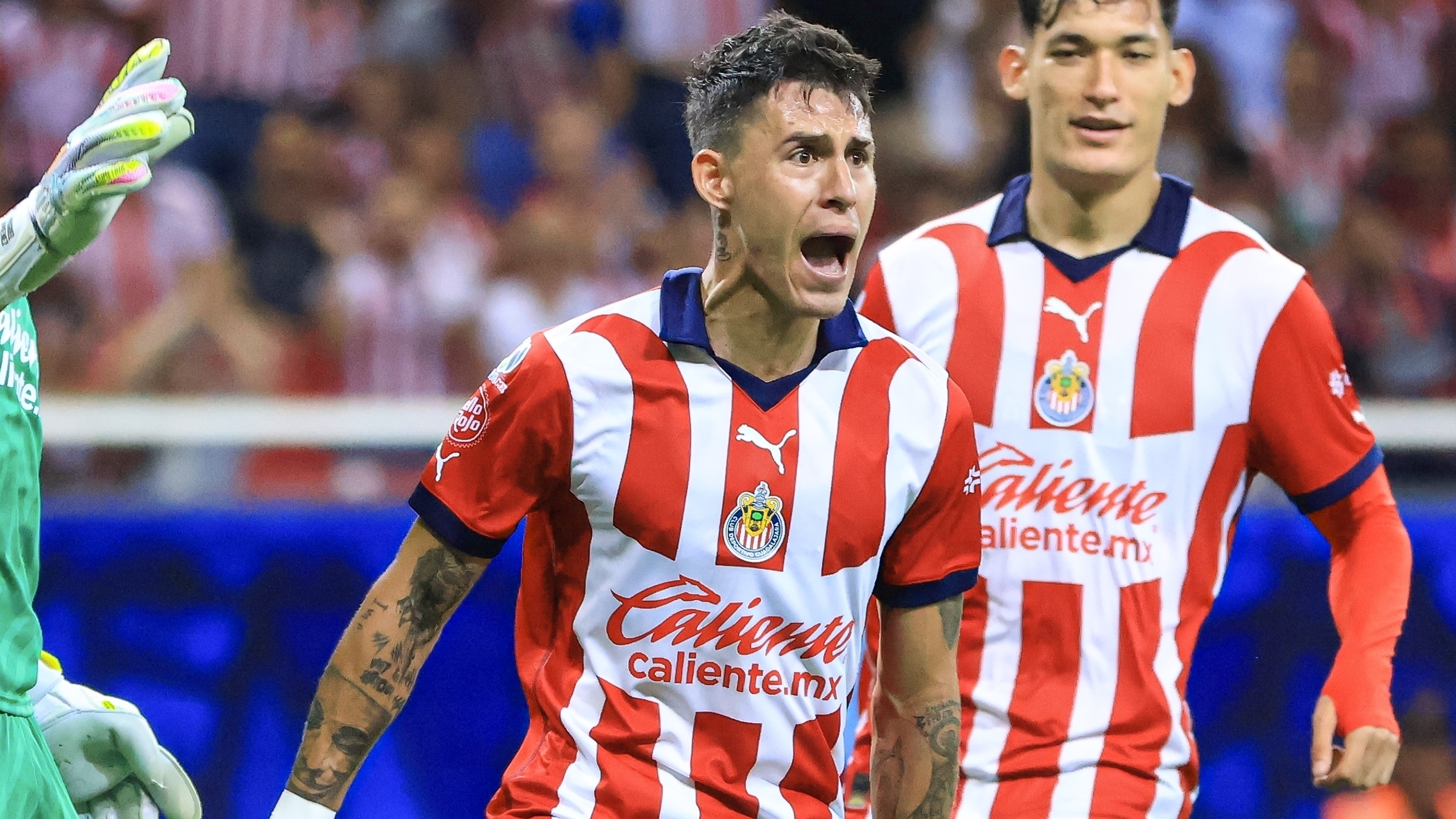 Chicote Calderon