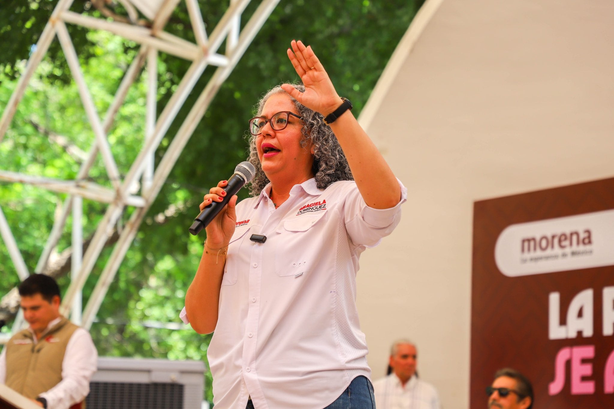 Graciela Domínguez, diputada de Sinaloa por Morena.