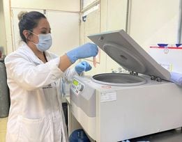 Paola Castillo Juárez