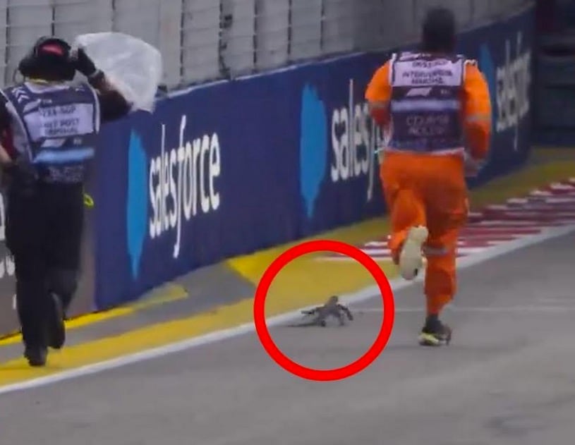 Foto: Plácido Garza