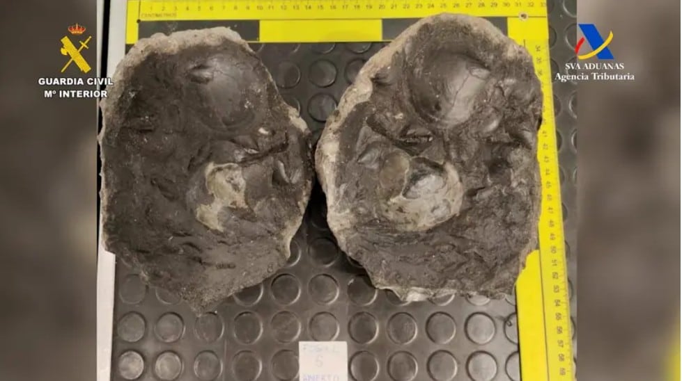 Restos arqueológicos de México fueron asegurados en España