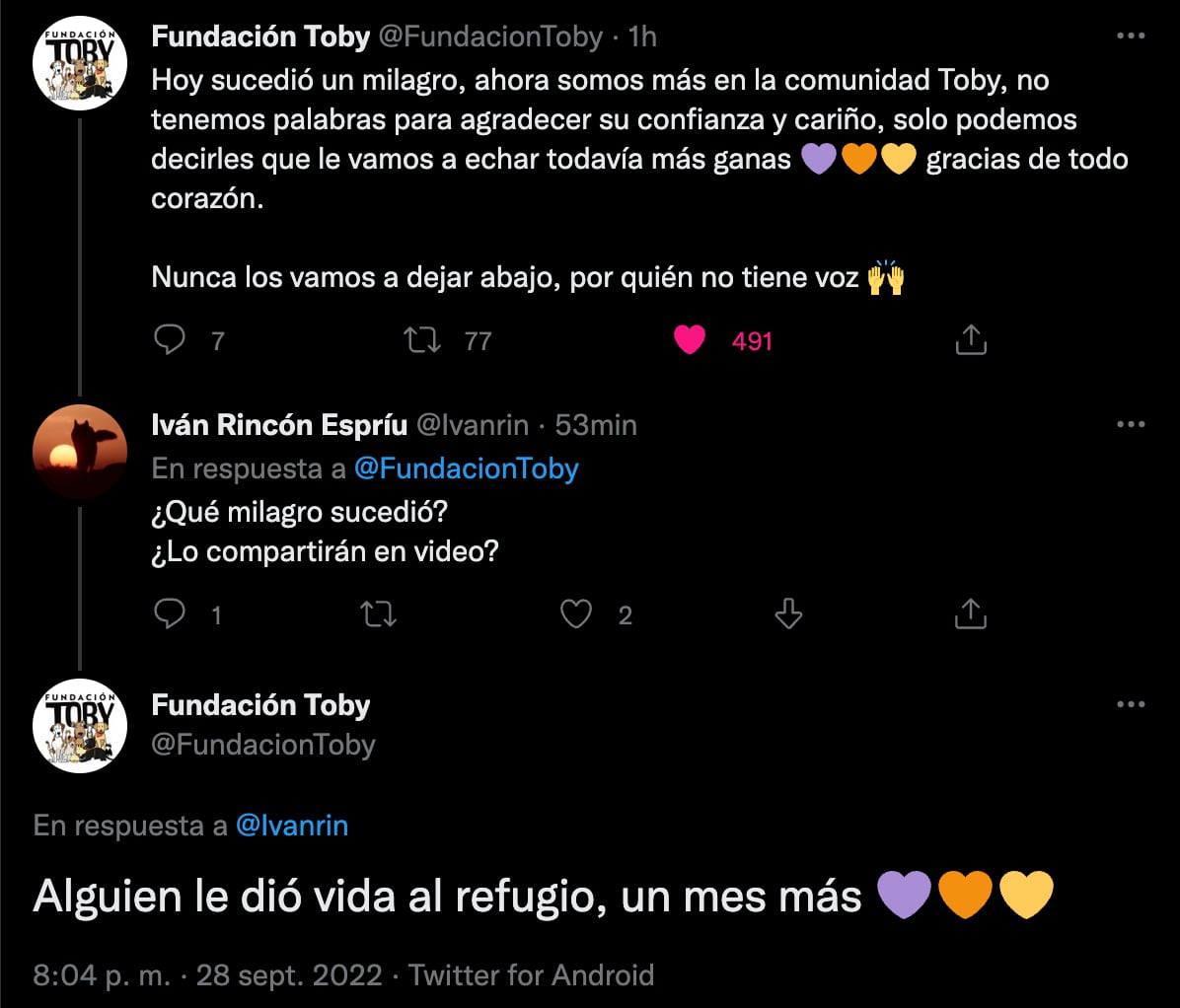 Fundación Toby, que rescata perritos, peligra por esta terrible razón