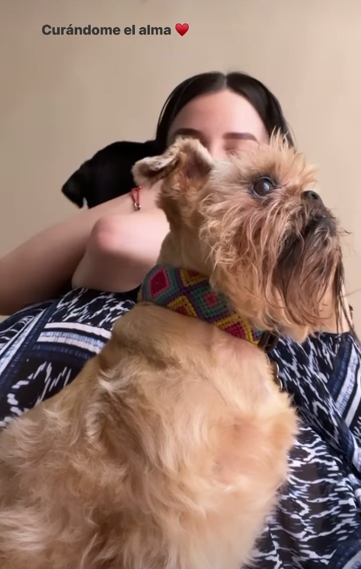 Lylo Fa con sus perritos tras ser acosada