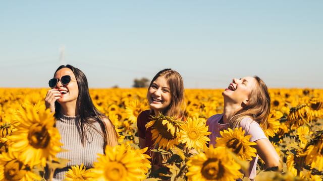 Yellow Day o el día más feliz del año