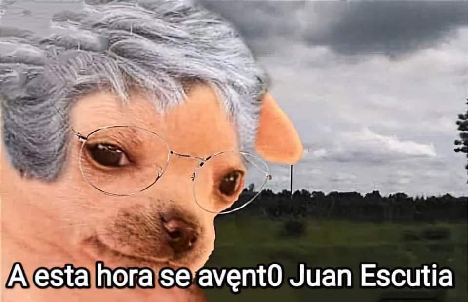 Memes de los Niños Héroes este 13 de septiembre