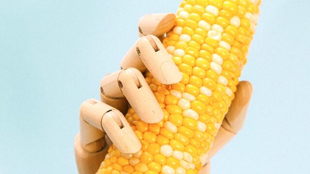 Imagen ilustrativa de un pene