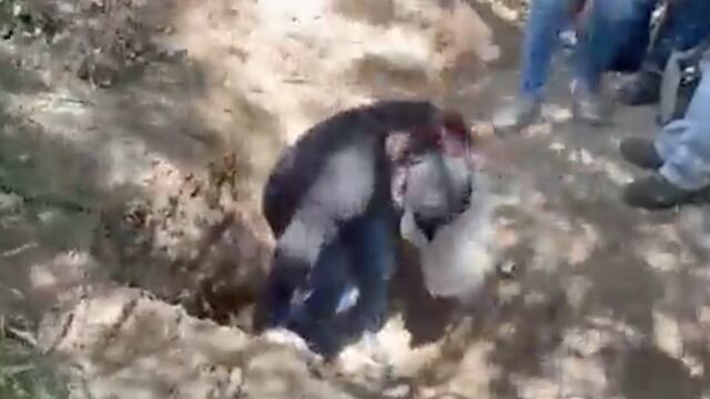 ¿Qué pasa en Reynosa, Tamaulipas?