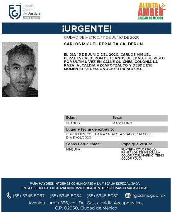 Ficha de búsqueda de Carlos.