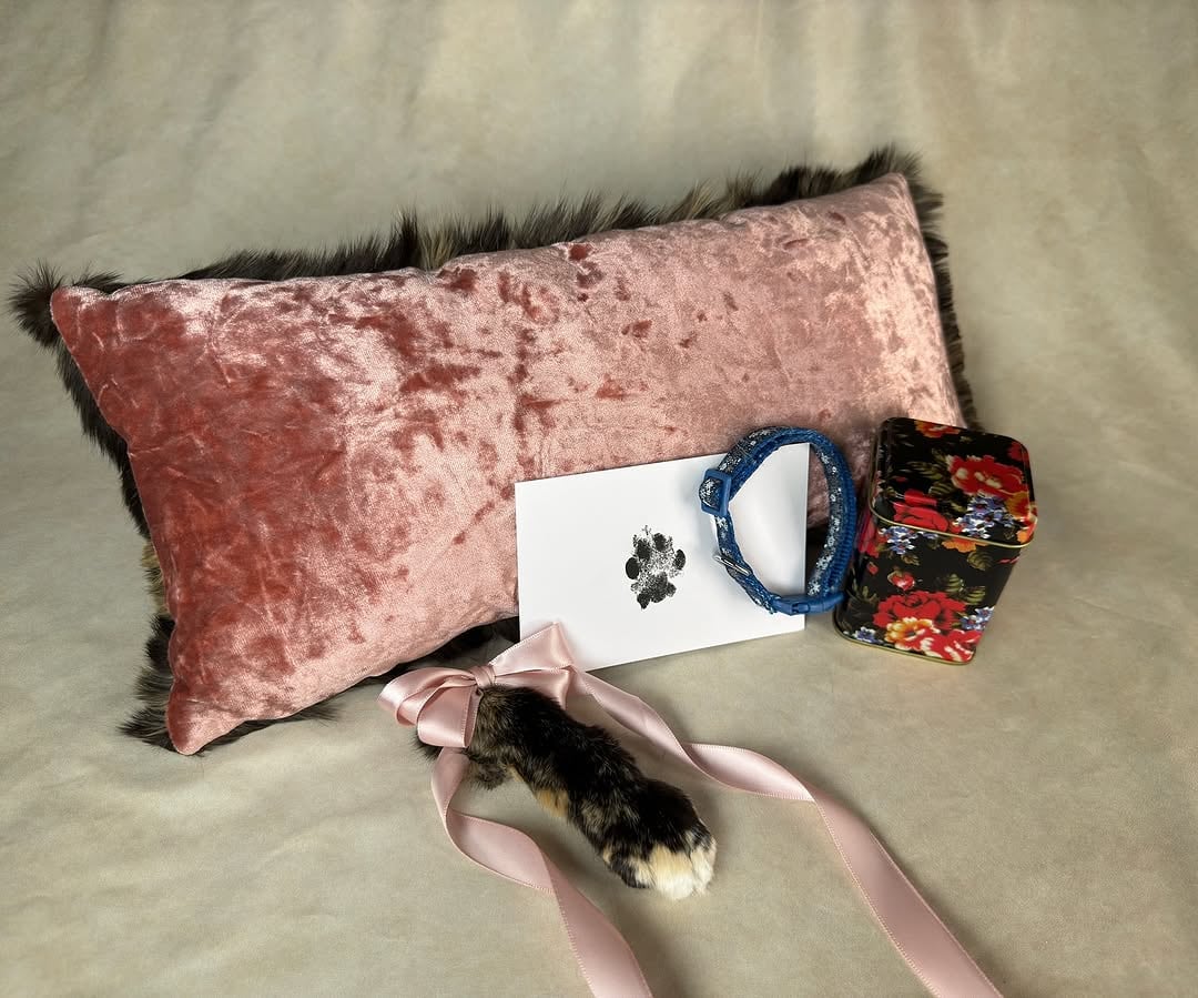 Convirtieron a un gato en almohada y conservaron una pata con taxidermia