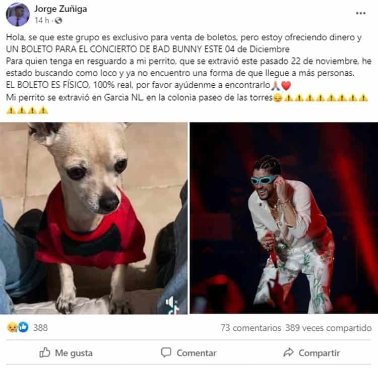 Ofreció boleto de Bad Bunny para que le regresen a su perrito