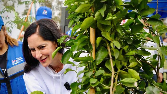 Lía Limón siembra 3 mil árboles en Álvaro Obregón