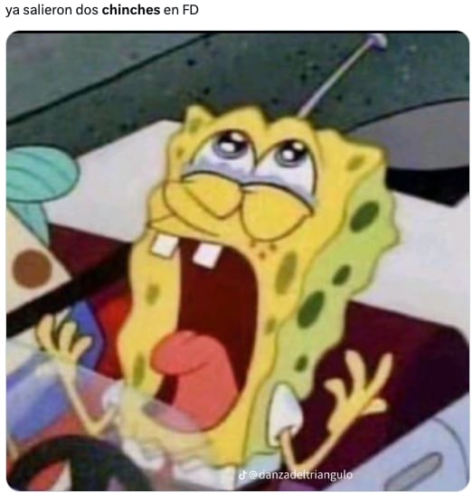 Plaga de chinches de la UNAM en CDMX desata los memes ansiosos de usuarios