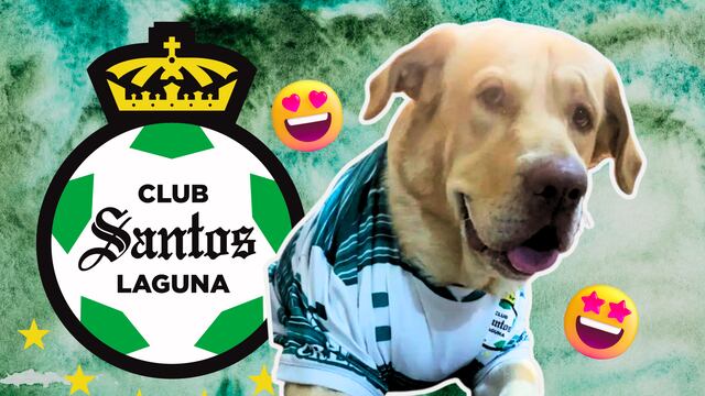 Ruso, aficionado a Santos Laguna.