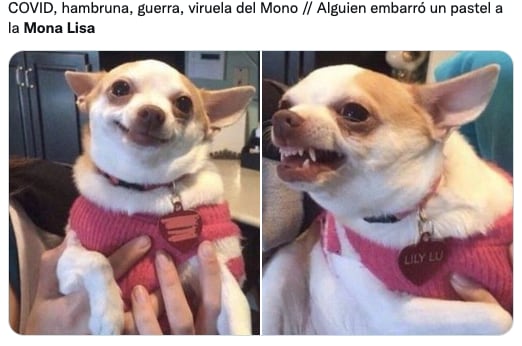Memes del pastelazo a La Mona Lisa