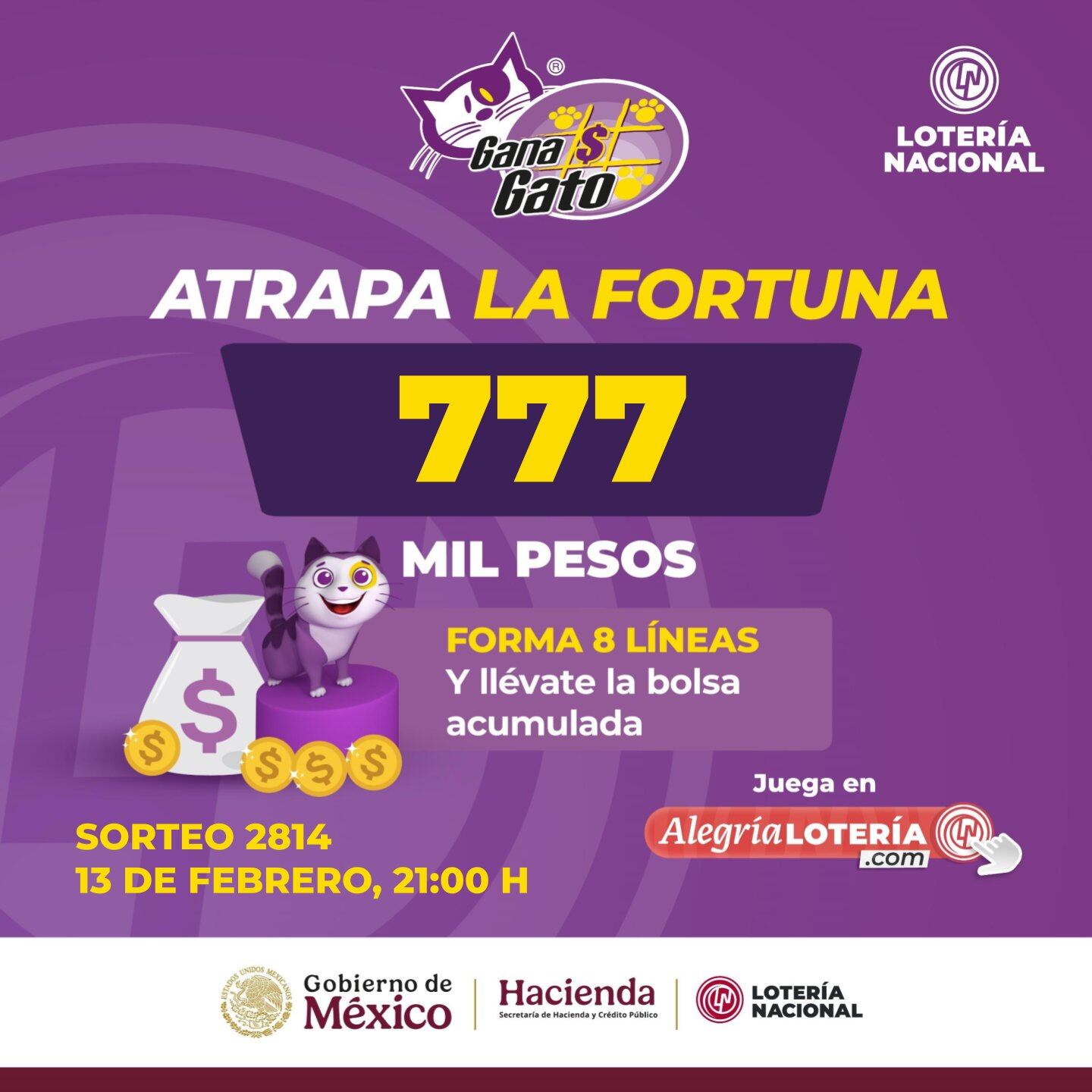Resultados Sorteo Gana Gato 2814 de Lotería Nacional: Estos son los números ganadores