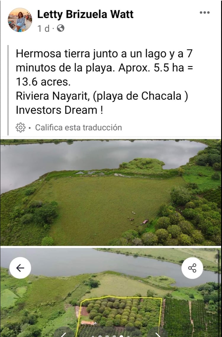 La gentrificación llegó a Facebook, exhiben grupo de gringos que quieren retirarse en México