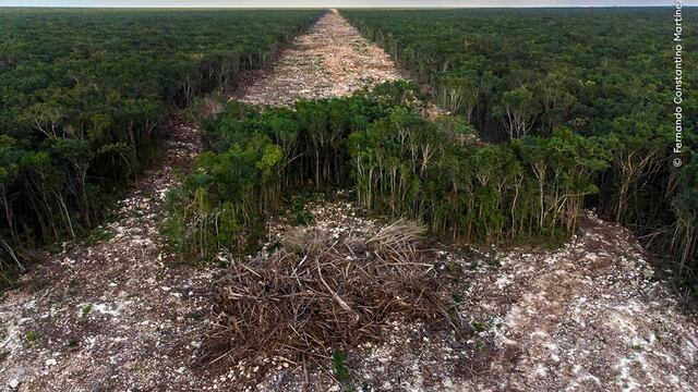 Fernando Constantino Martínez Belmar, "Mexico’s tourism bulldozer"