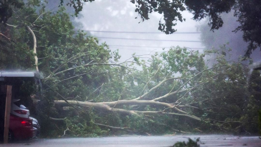 Beryl se degrada a tormenta tropical, deja 8 muertos en Texas