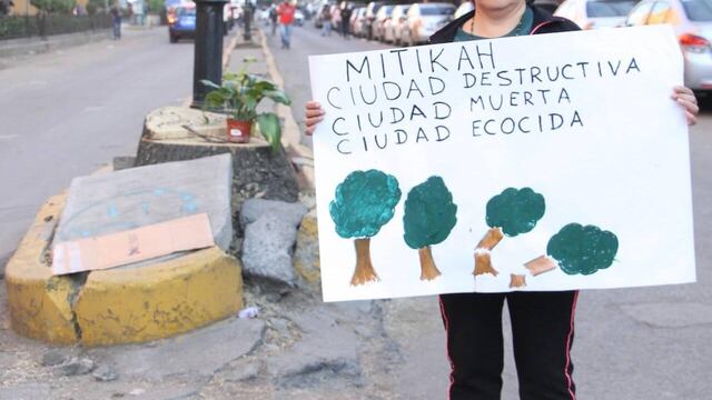 Manifestación contra tala de árboles en Xoco.