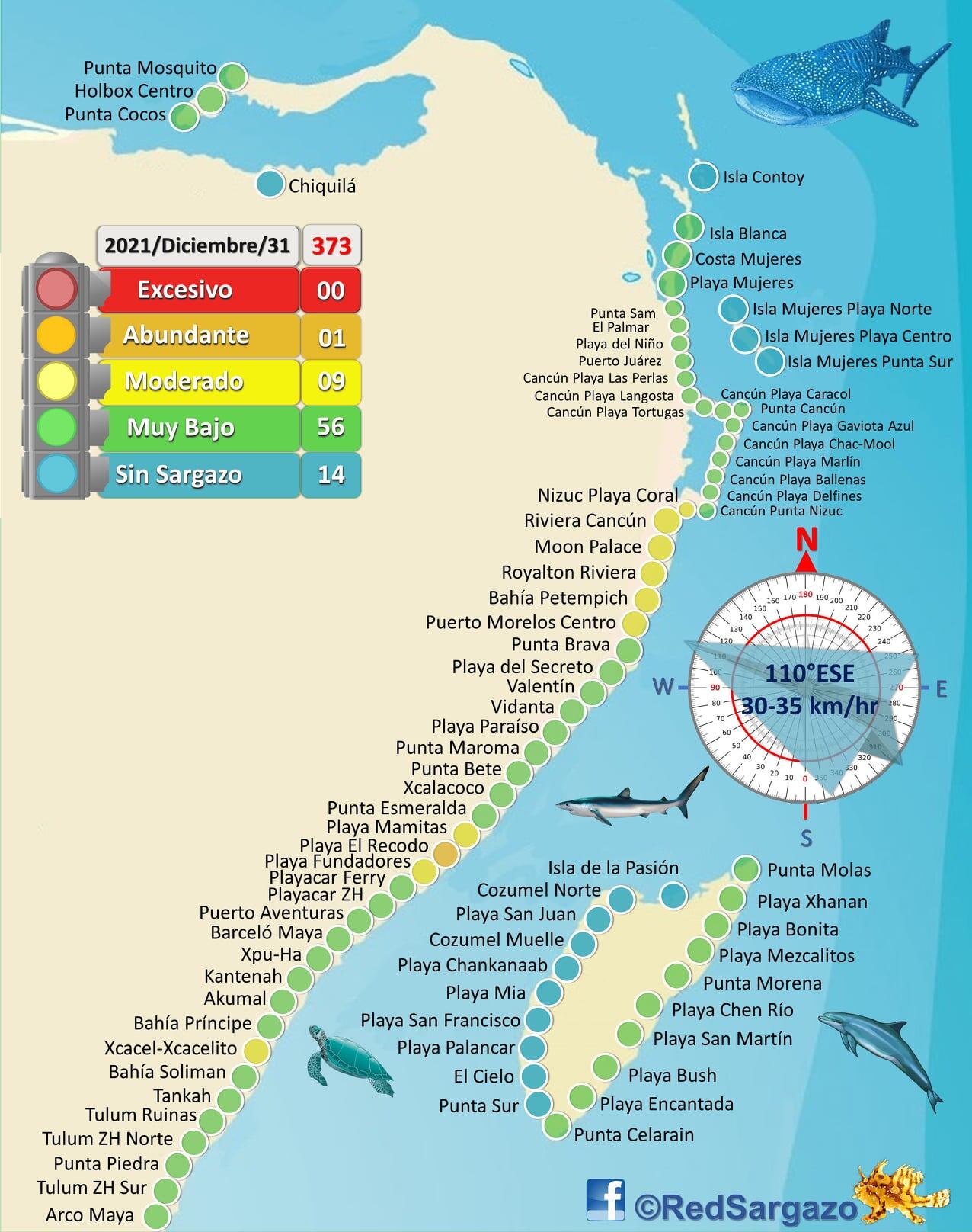 Semáforo del Sargazo en la Zona Norte en Quintana Roo
