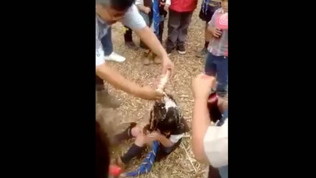 Bañan en refresco a niña Scout en Naucalpan