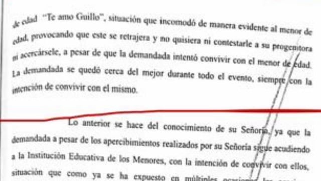 Documentos del expediente del caso de Por Maha Schekaiban