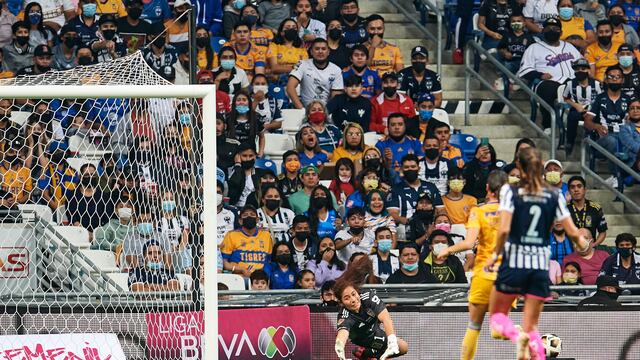 Tigres femenil