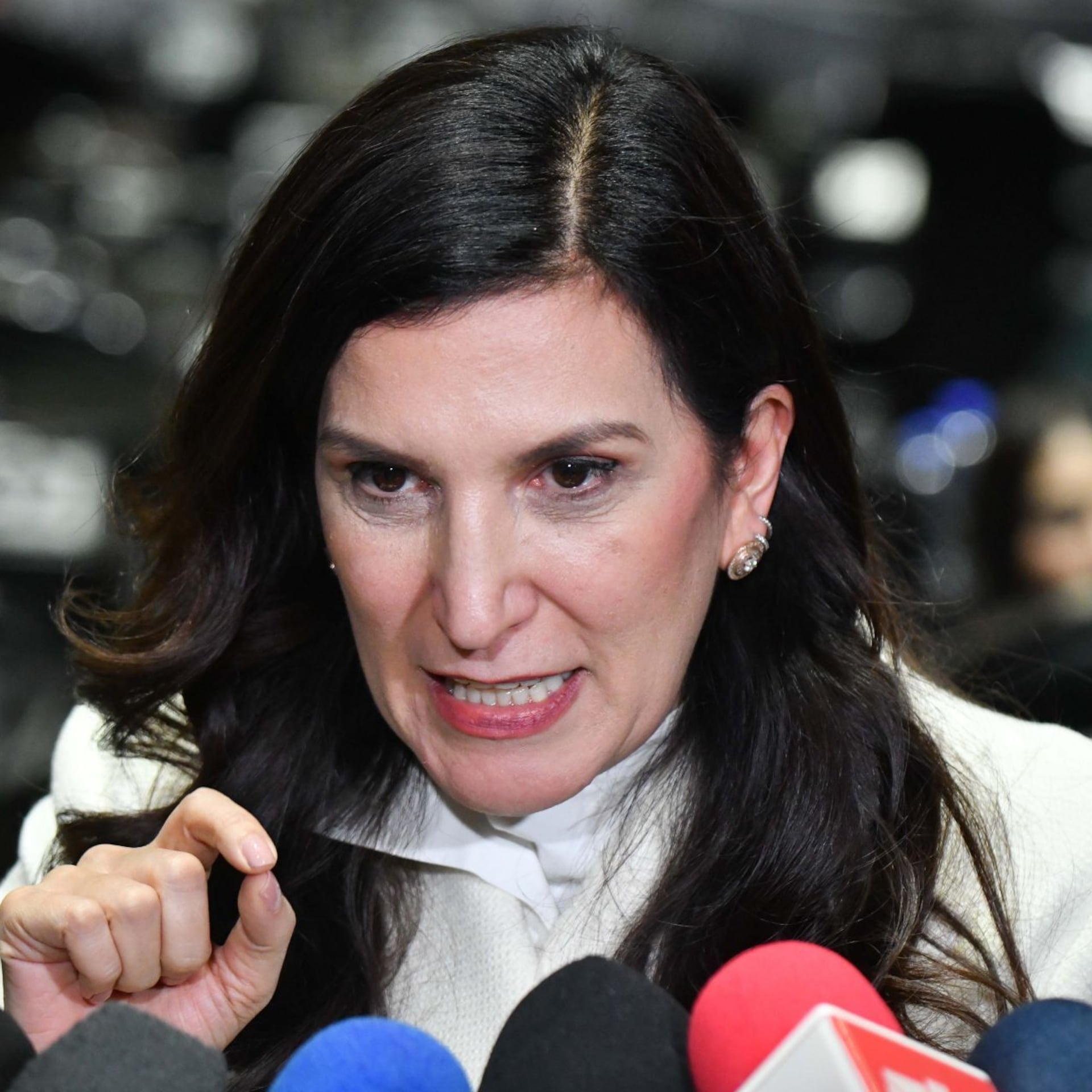 Kenia López Rabadán lleva el caso Rocha Moya al debate del T-MEC