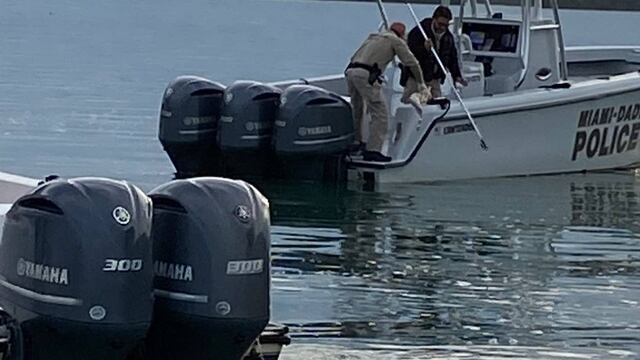 Policía de Miami-Dade registra el área donde fue encontrada la pierna humana