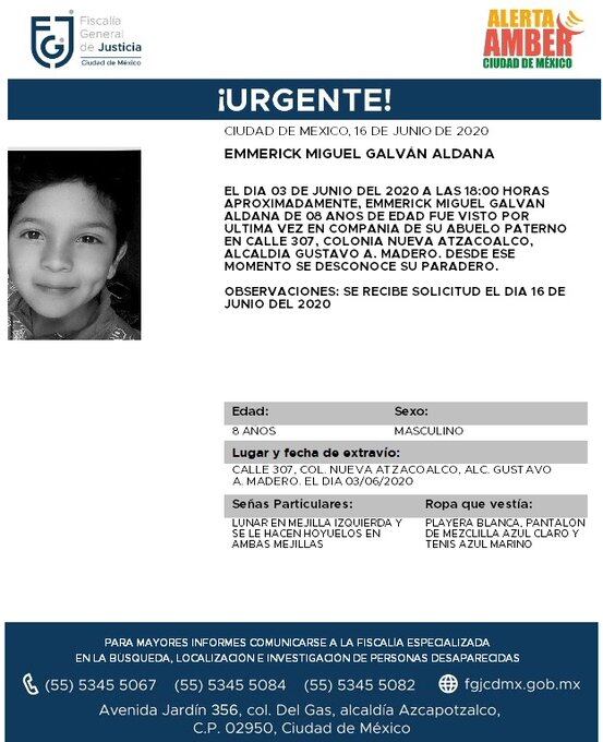 Ficha de Búsqueda de Emmerick.