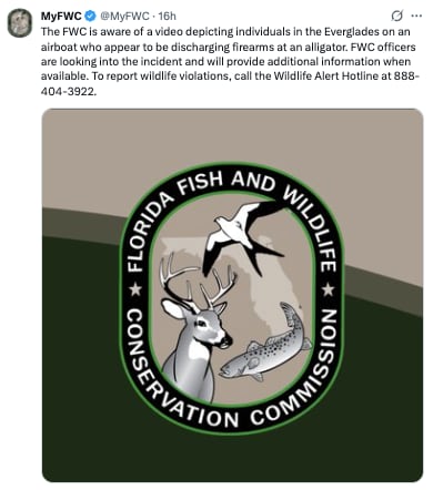 Investigan a Clavicular por dispararle a caimán