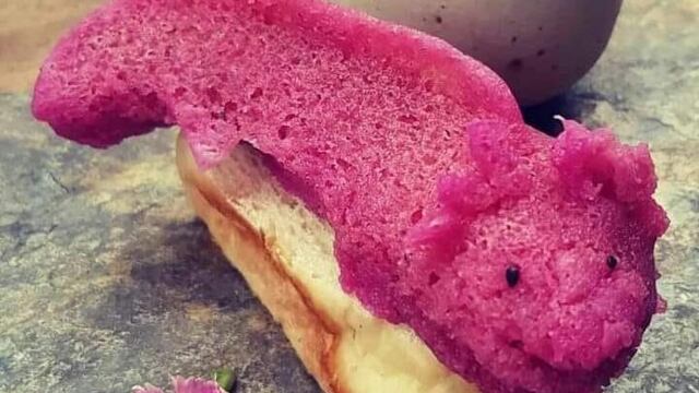 'Woo xolota', tamal en forma de axolote