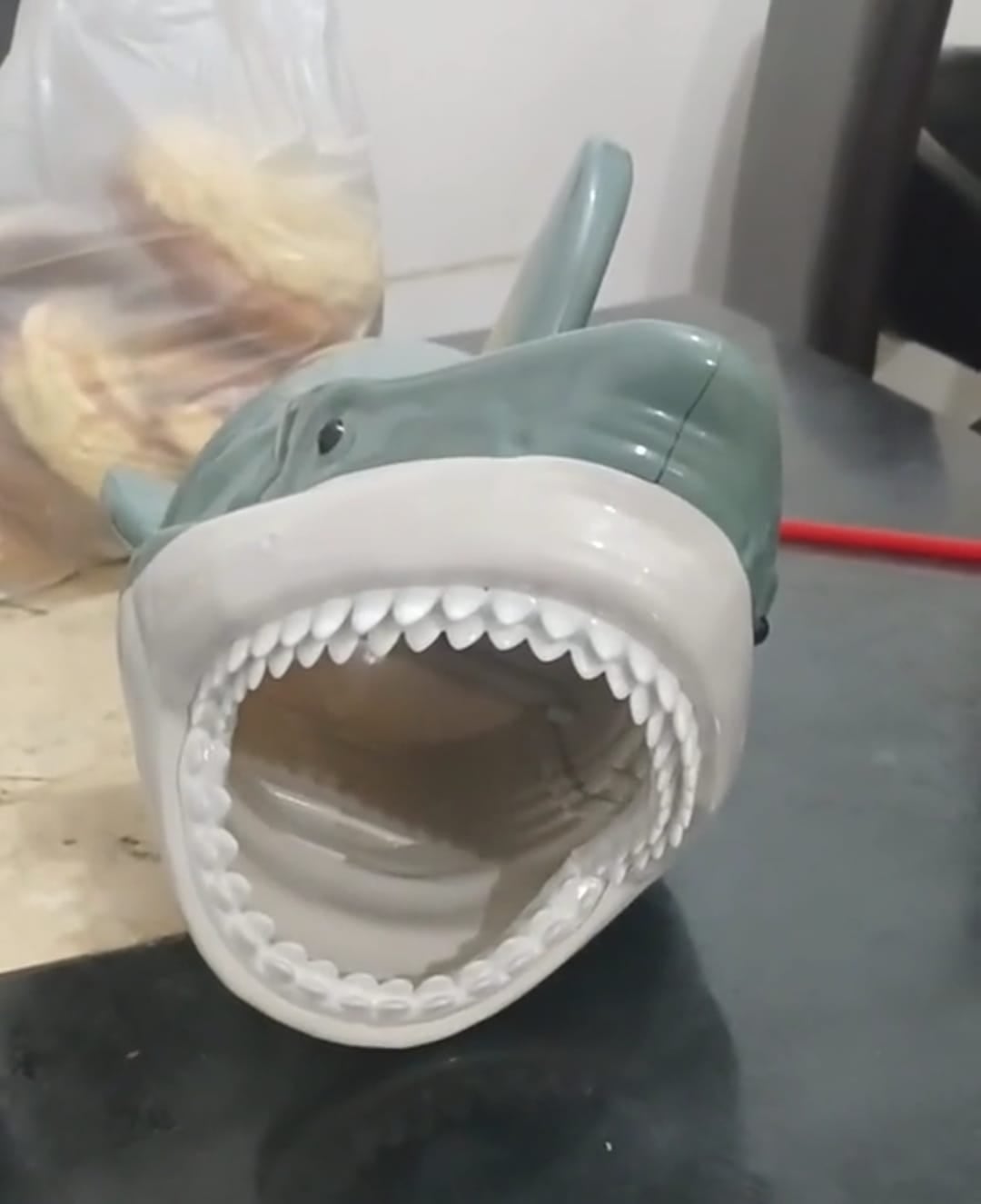 Palomera Megalodón 2