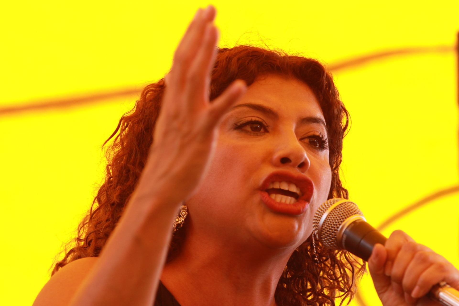 Clara Brugada en un acto de campaña encabezado por AMLO en 2009