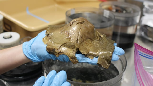 Misterioso objeto dorado encontrado en Alaska