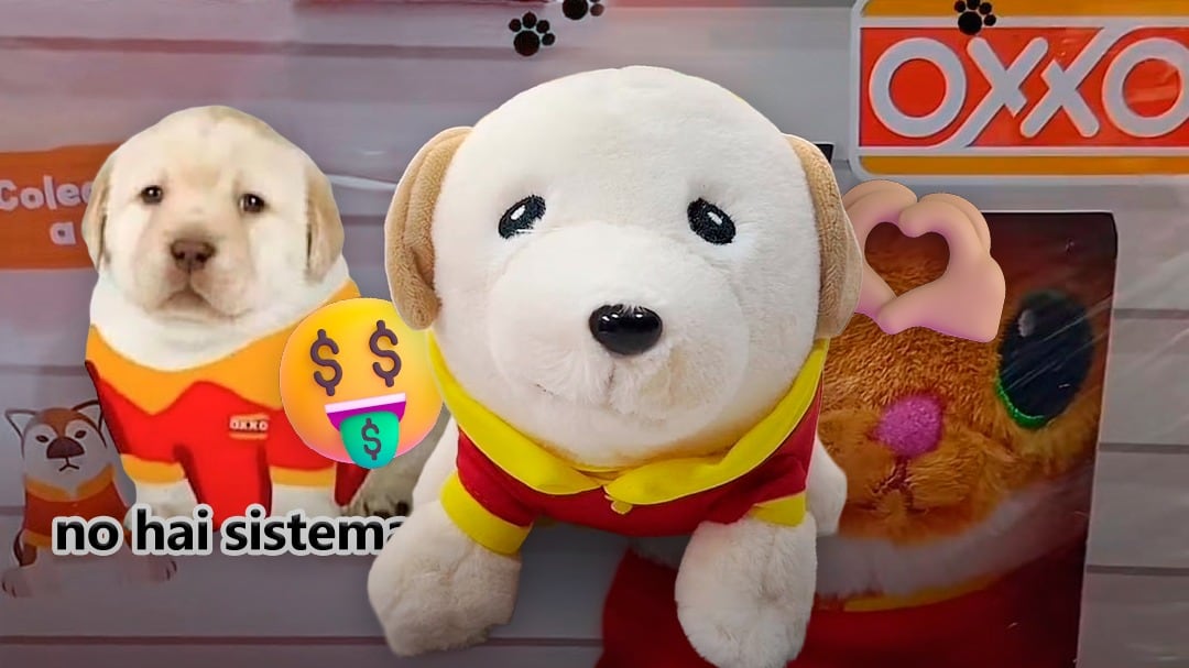 Peluchoxxos llegaron al Oxxo: Precio, cuáles son y cómo conseguir los peluches uniformados de “no hay sistema”
