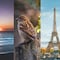 ¿Qué se celebra el 20 de marzo? Hoy es Día Internacional de la Felicidad, el Equinoccio de Primavera, Día Mundial del Gorrión y Día Internacional de la Lengua Francesa