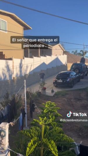 Gallo no deja pasar a intruso