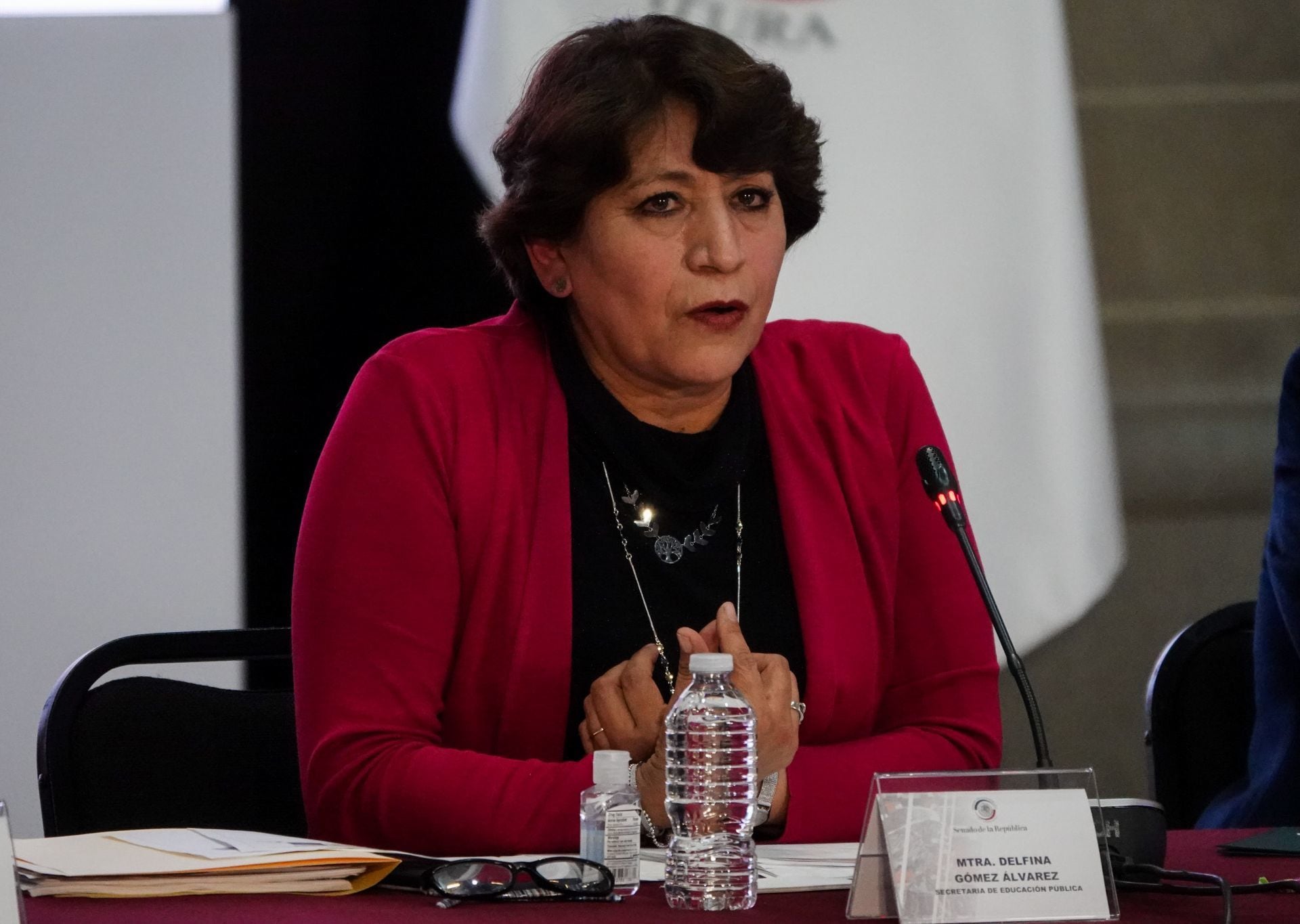 Delfina Gómez