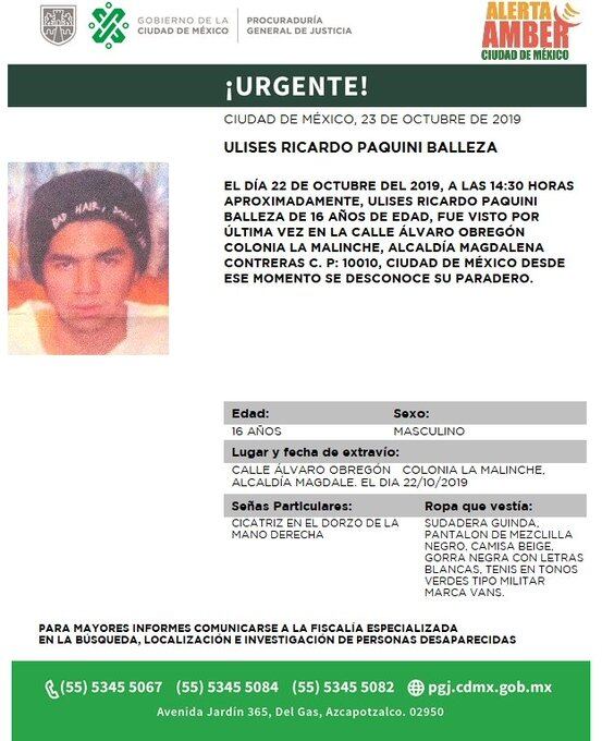 Ulises Ricardo Paquini Balleza