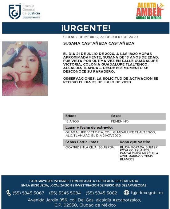 Ficha de búsqueda de Susana.